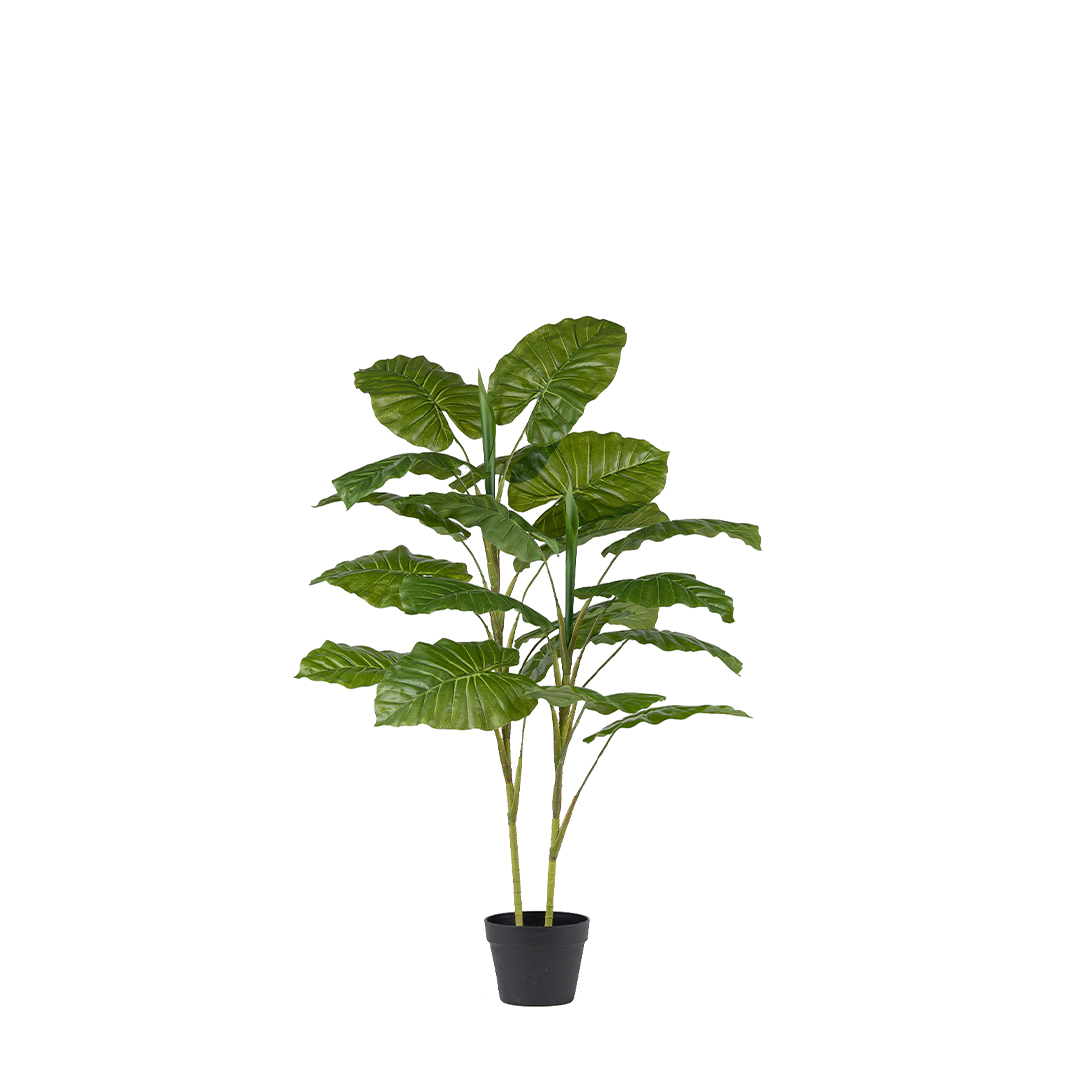 ψεύτικο φυτό Συγκόνιουμ σε γλάστρα