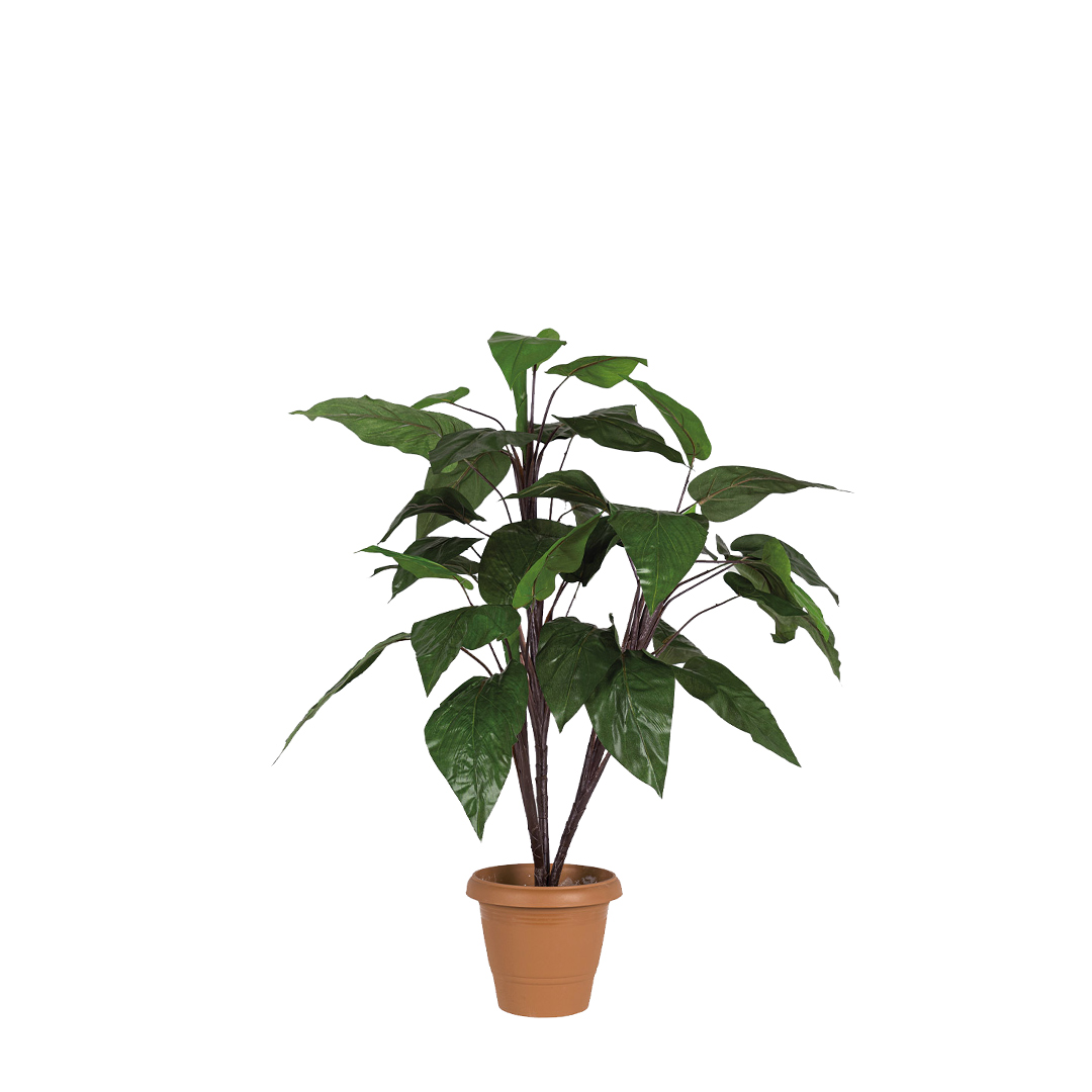 τεχνητό φυτό φυλλόδεντρο σε γλάστρα